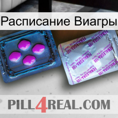 Расписание Виагры 37